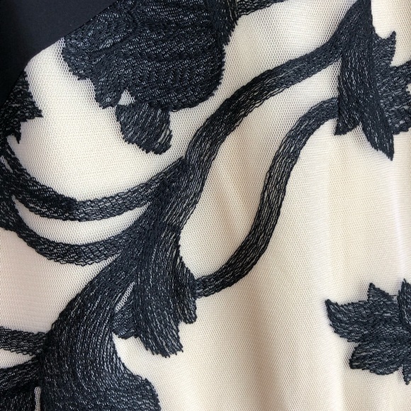 Anthropologie black and tan sheath dress - Picture 3 of 4